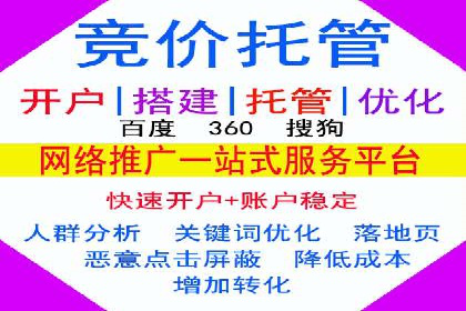 SEM托管服务助力电商平台流量翻倍的秘诀